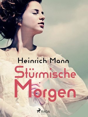 cover image of Stürmische Morgen